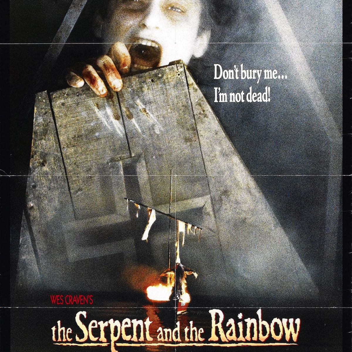 Jason’s Awesome DVD Shelf #623: The Serpent And The&nbsp;Rainbow