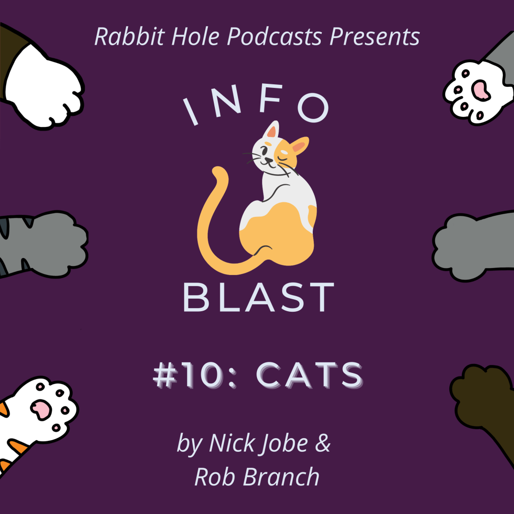 InfoBlast #10: Cats